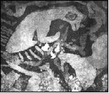 Gravuras